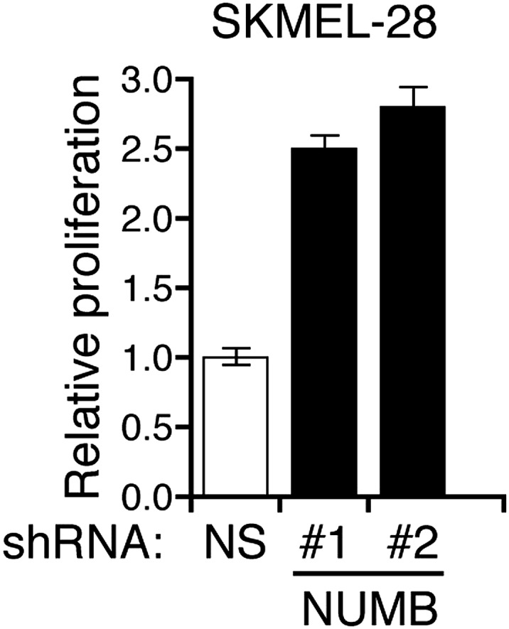 Figure 5—figure supplement 2.