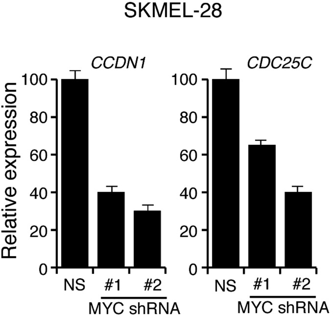 Figure 2—figure supplement 3.