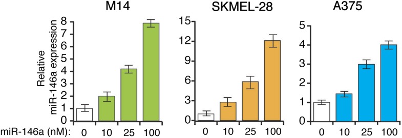 Figure 3—figure supplement 7.