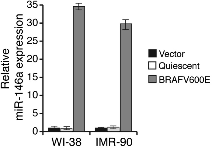 Figure 1—figure supplement 1.