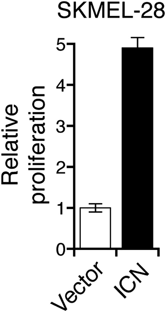 Figure 5—figure supplement 4.