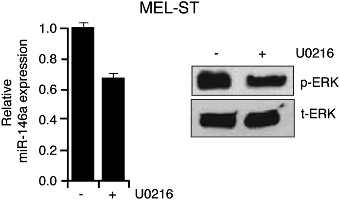 Figure 1—figure supplement 4.