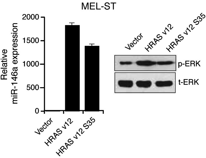 Figure 1—figure supplement 3.