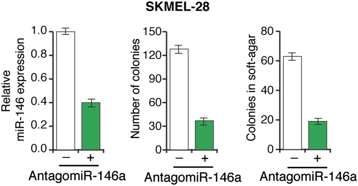 Figure 3—figure supplement 4.