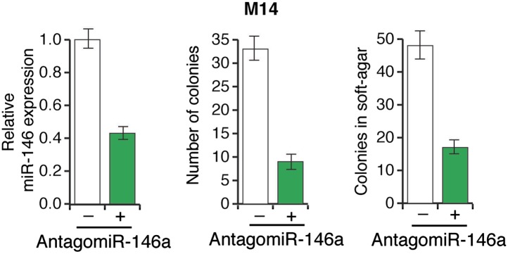 Figure 3—figure supplement 5.