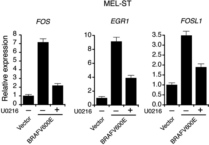 Figure 1—figure supplement 2.