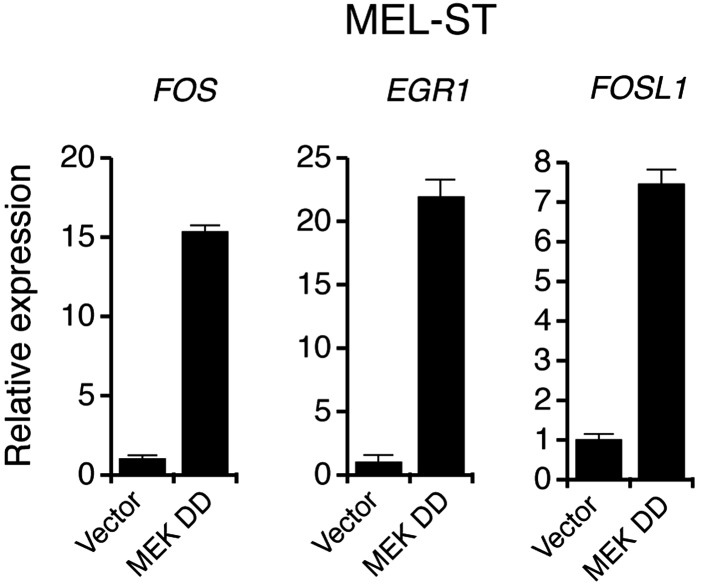 Figure 1—figure supplement 5.