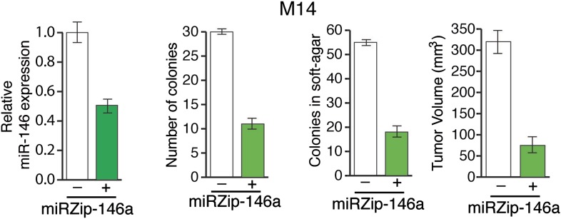 Figure 3—figure supplement 3.