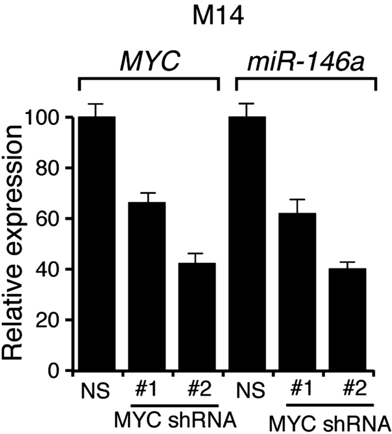 Figure 2—figure supplement 1.