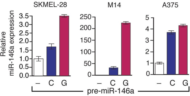 Figure 3—figure supplement 1.