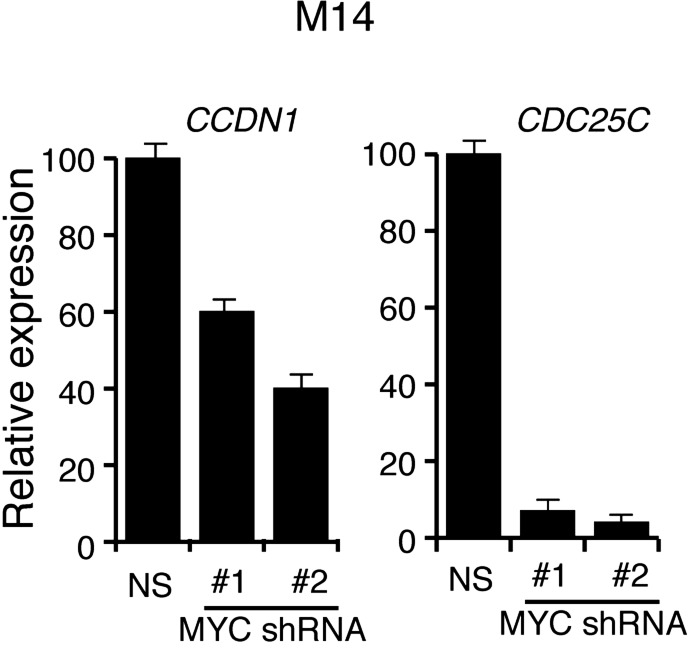 Figure 2—figure supplement 2.