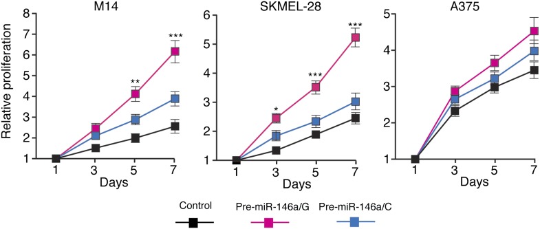 Figure 3—figure supplement 2.