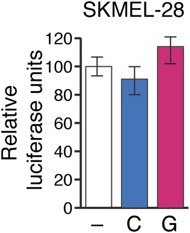 Figure 4—figure supplement 2.