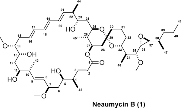 Figure 1.