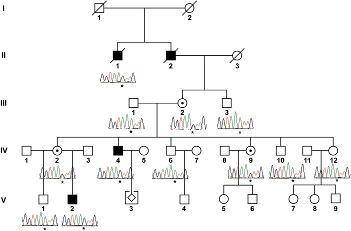 Figure 1.