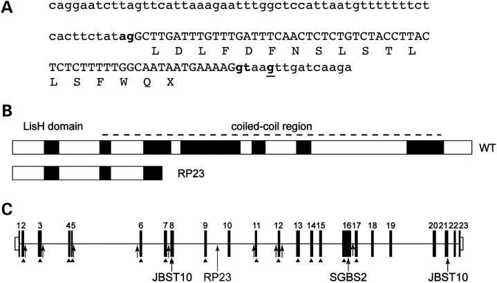 Figure 3.