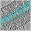 Extended Data Figure 9