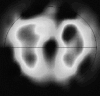 Fig. 10.7