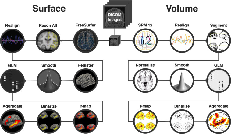 Probabilistic atlas for the language network based on precision fMRI ...