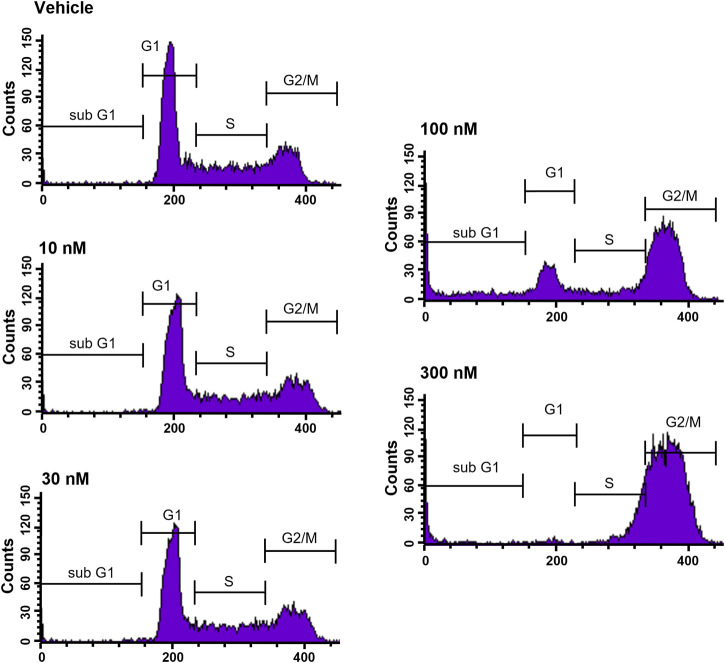 FIGURE 2