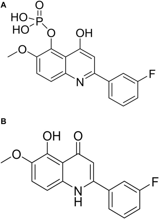 FIGURE 1