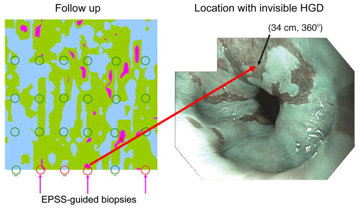 Fig. 4