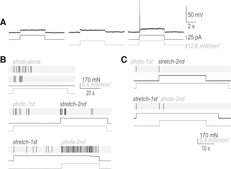 Fig. 4.