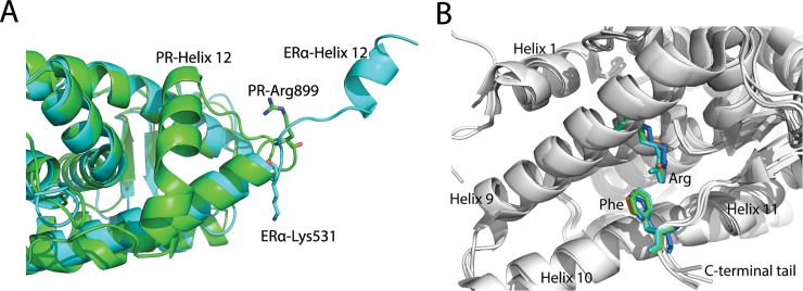 Fig 10