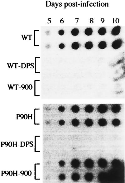 FIG. 6