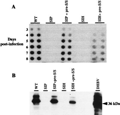 FIG. 7