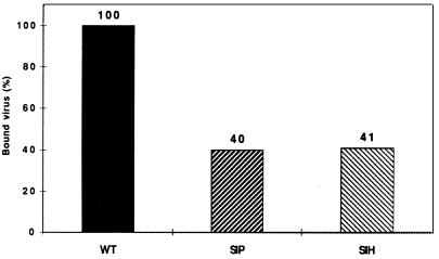 FIG. 8