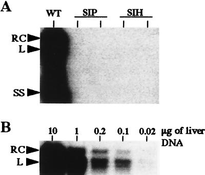 FIG. 5