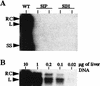 FIG. 5