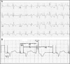 Figure 1)
