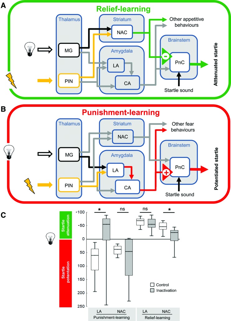 Figure 7.