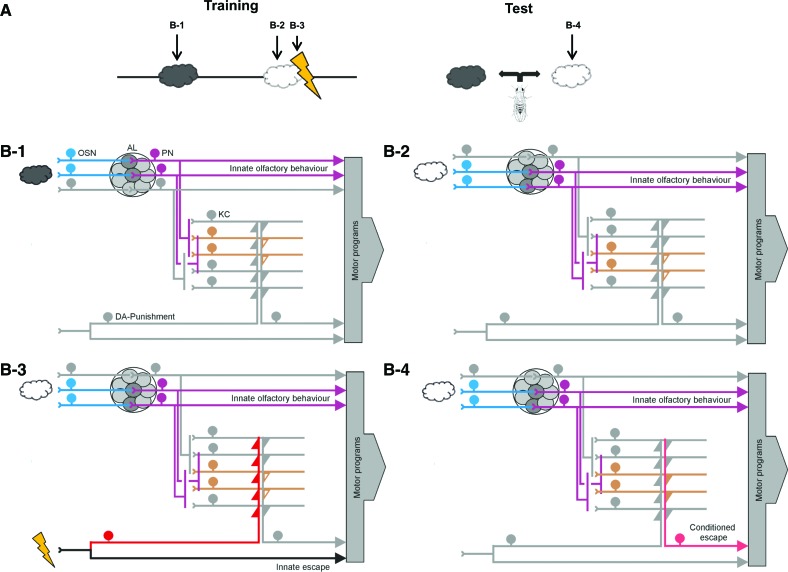 Figure 4.