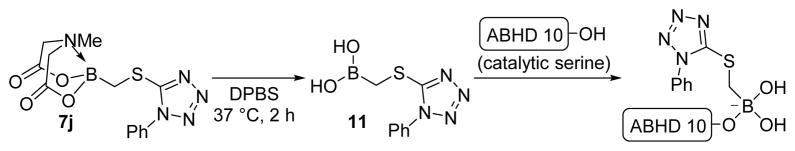 Scheme 3