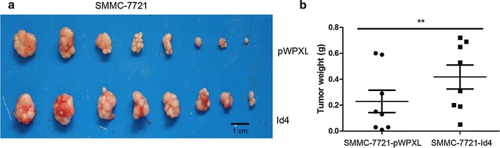 Fig. 5