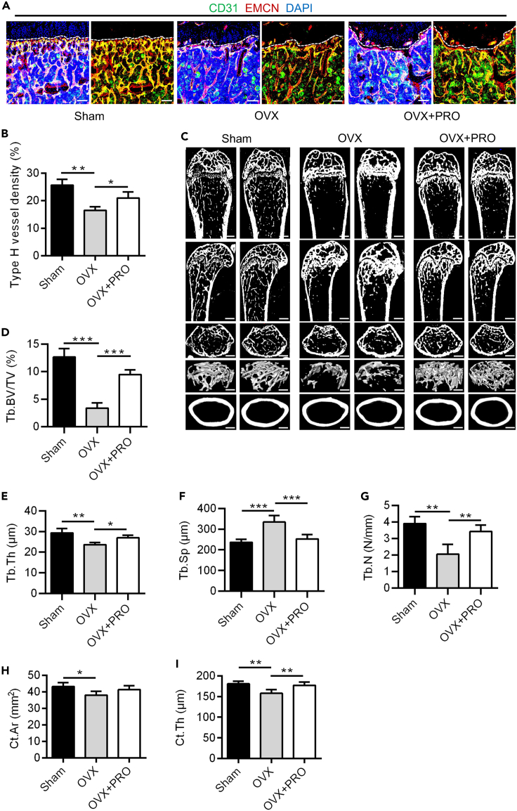 Figure 6