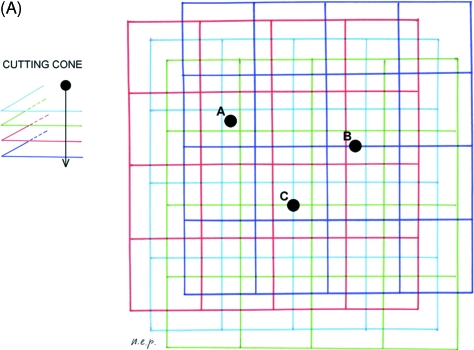 Fig. 10