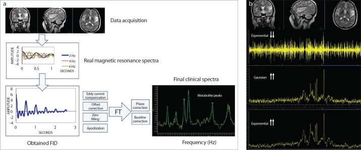 Figure 3 a, b.