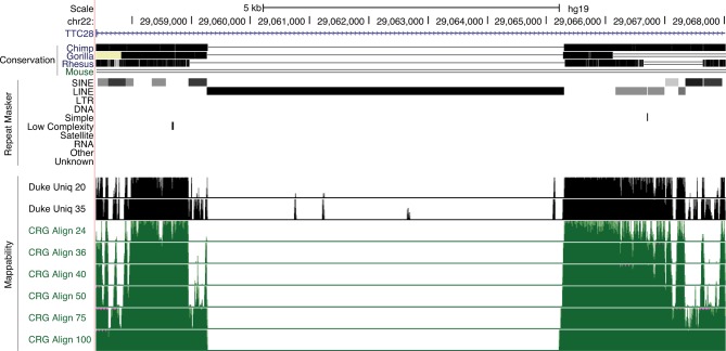 Figure 3—figure supplement 1.