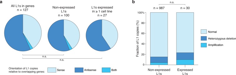 Figure 4—figure supplement 3.