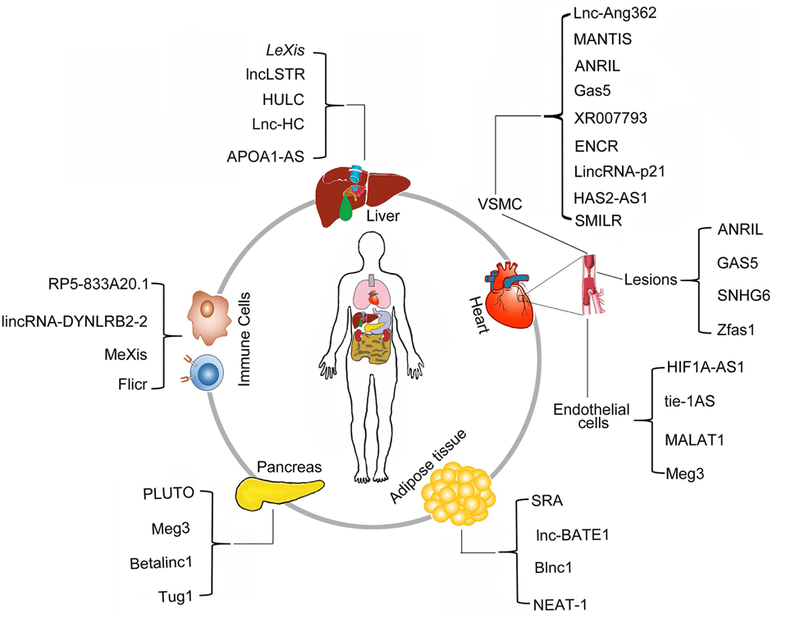 Figure 2: