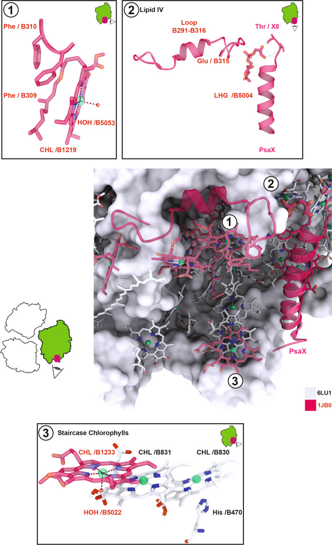 Fig. 8