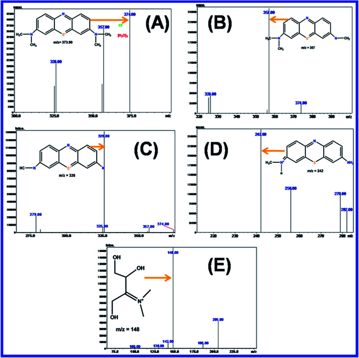 Fig. 18