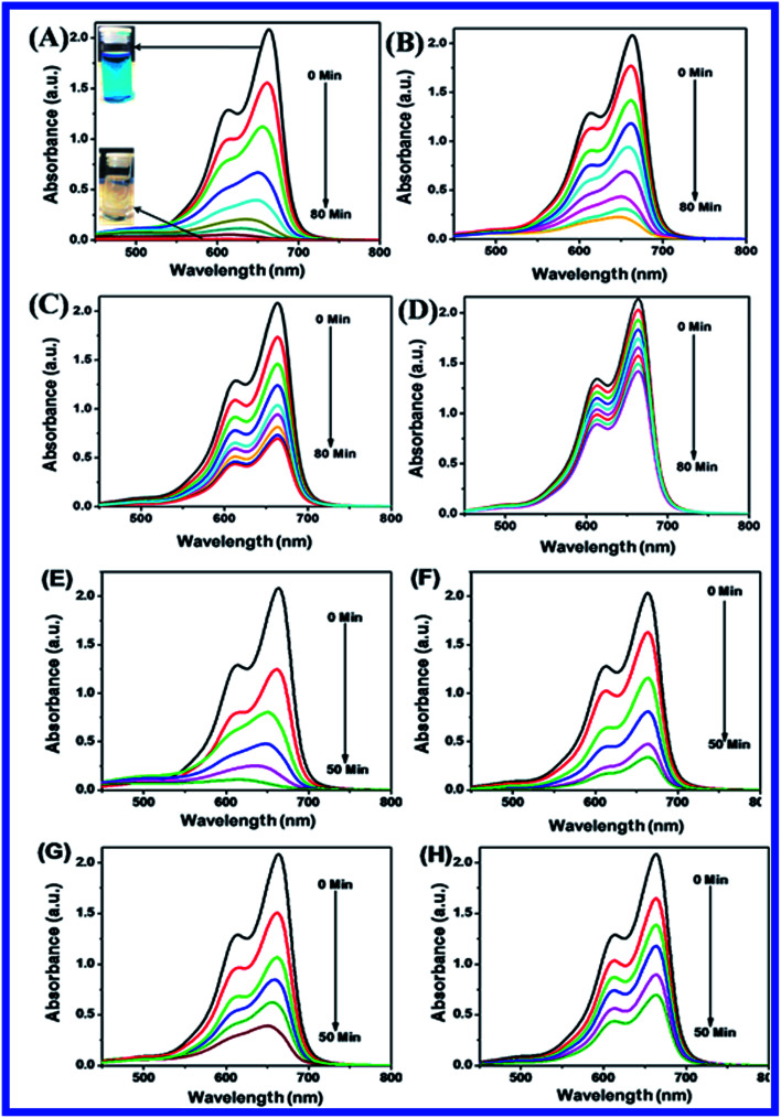 Fig. 10