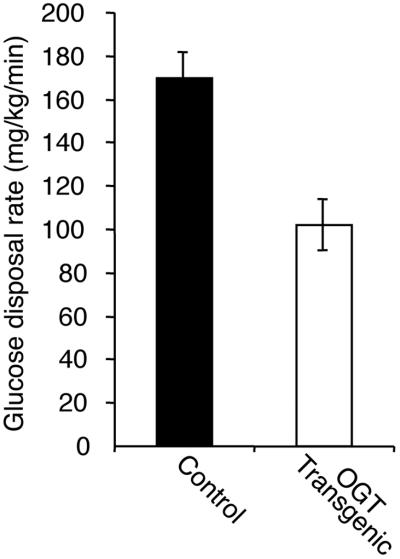 Fig 3.