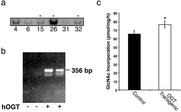 Fig 1.