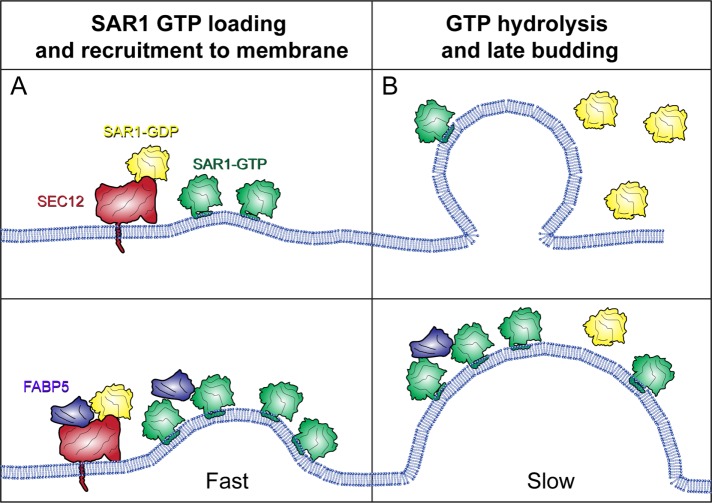 FIGURE 7: